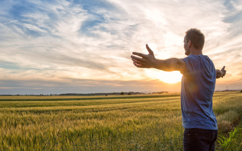 Open Optical Networks