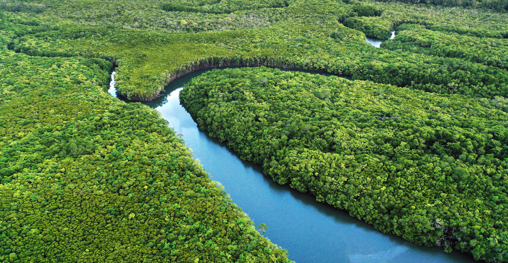 How can vRAN contribute to a more sustainable society?