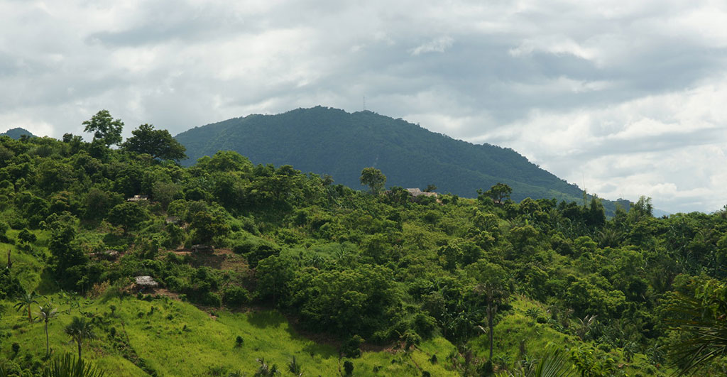 Operator survey: RAN test methods must become more collaborative Operator survey: RAN test methods must become more collaborative